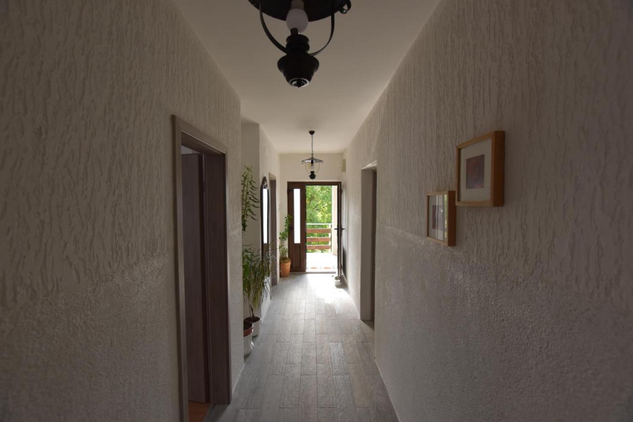 Apartments Frkovic Ledenice エクステリア 写真