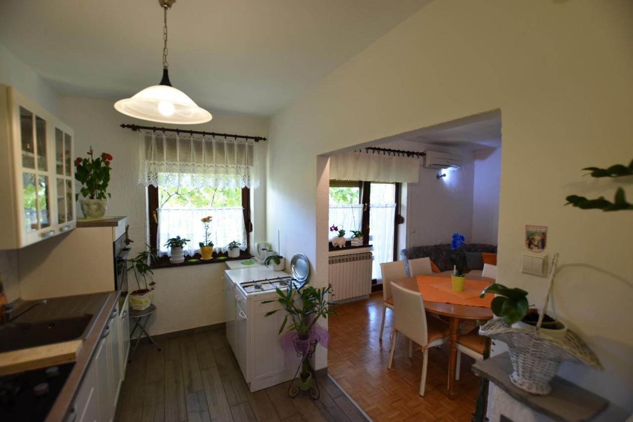 Apartments Frkovic Ledenice エクステリア 写真