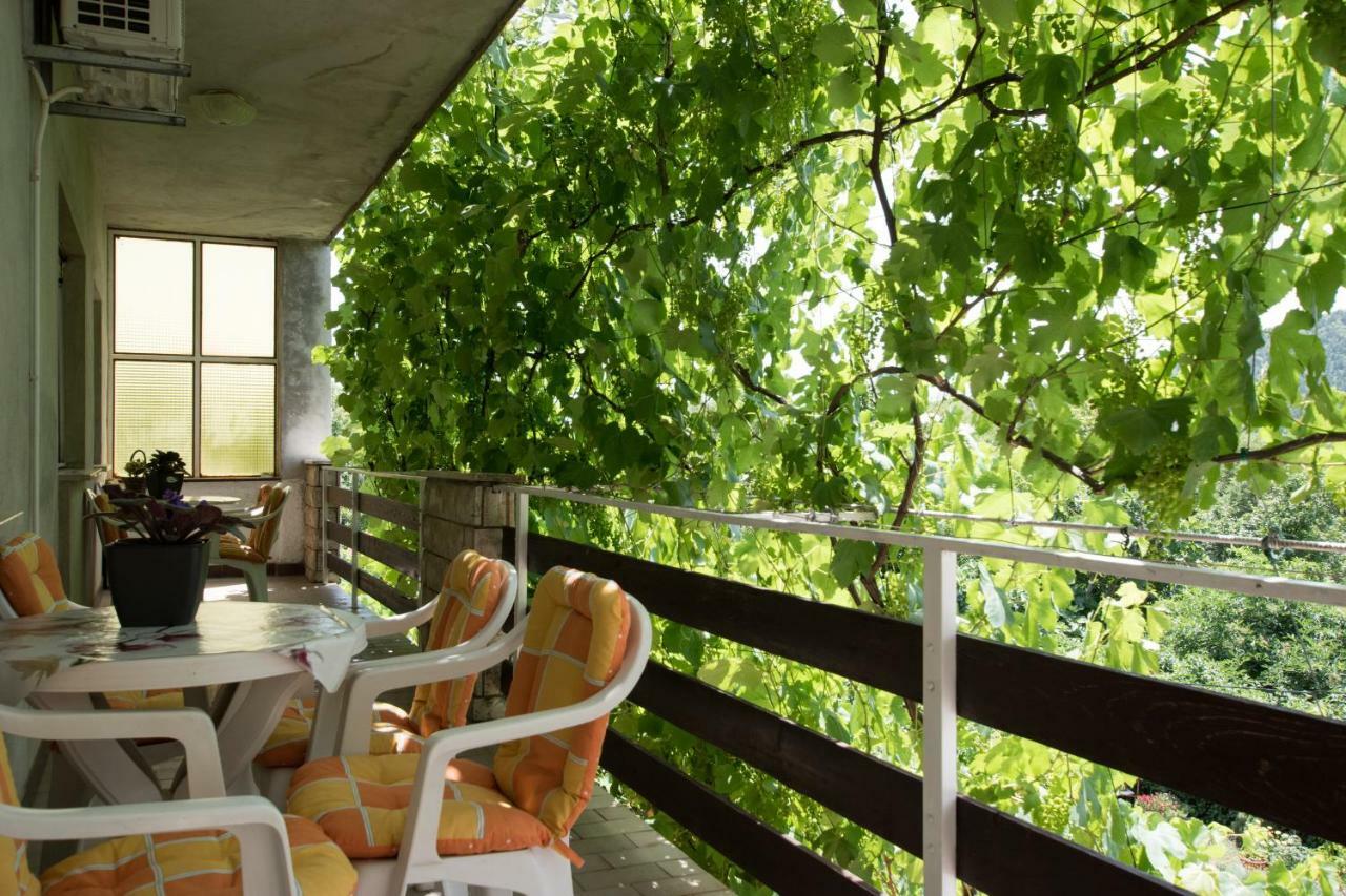 Apartments Frkovic Ledenice エクステリア 写真